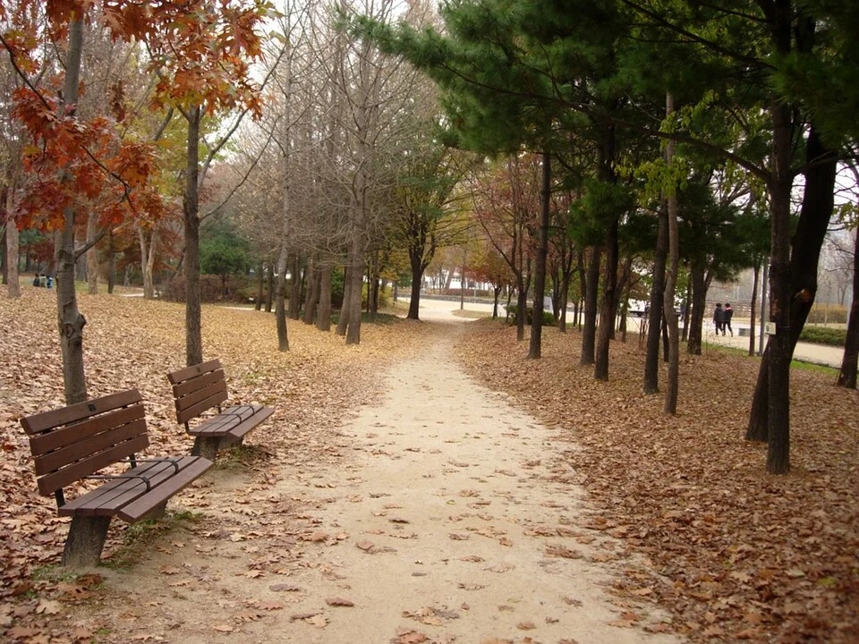 Archival Seoul Forest walking path