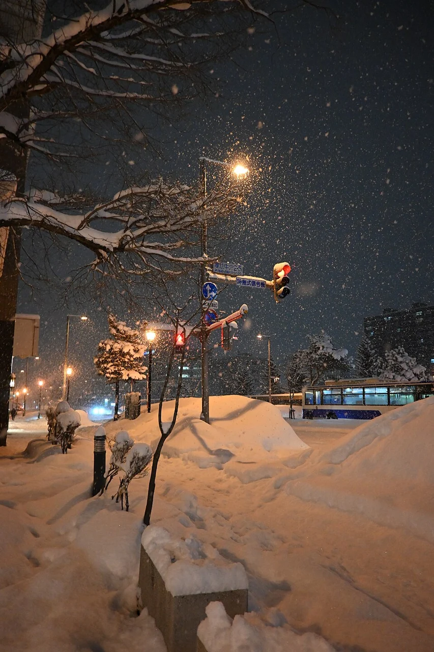 雪が積もった札幌の歩道